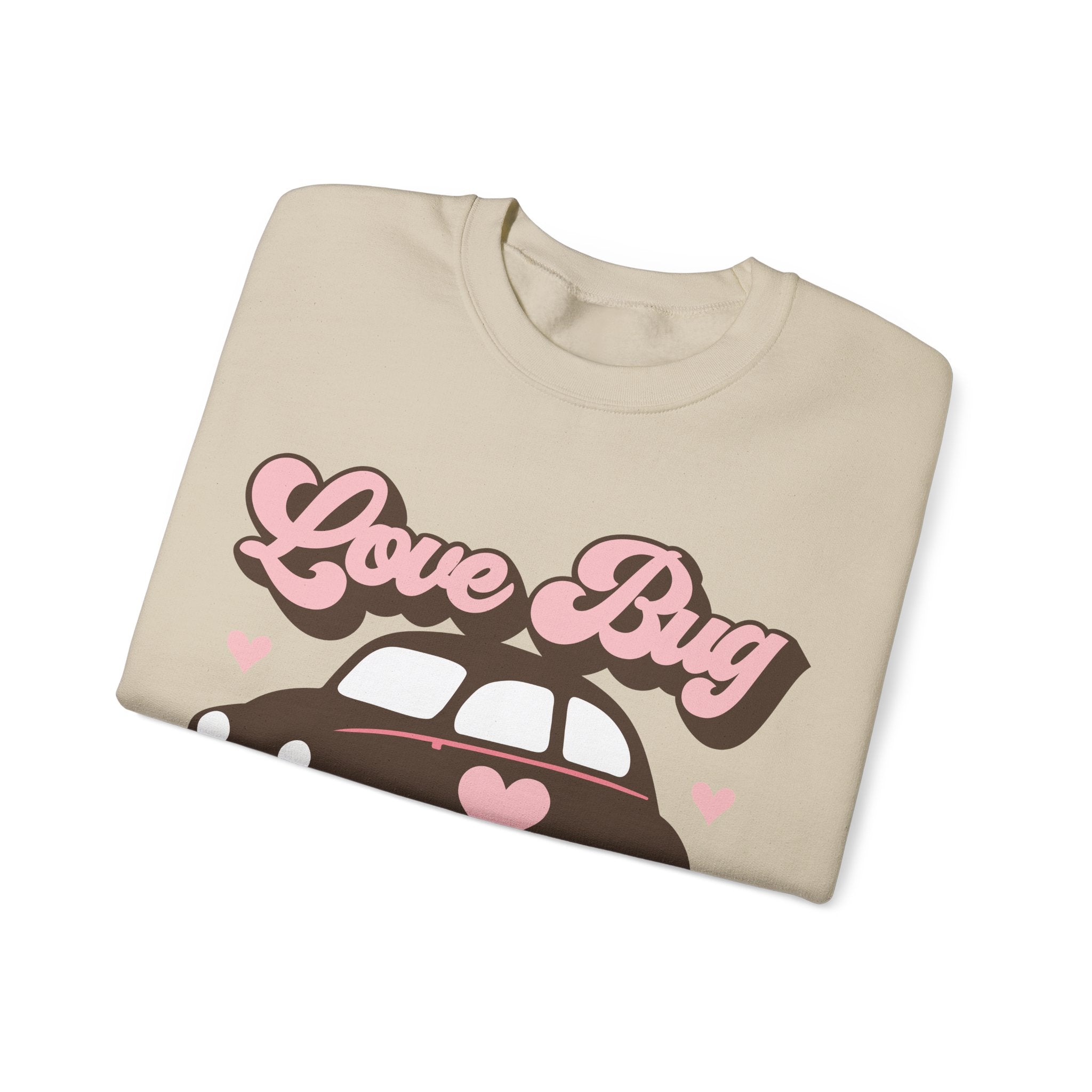Love Bug Valentines Sweatshirt – Cute Valentine’s Day Crewneck Sweatshirt